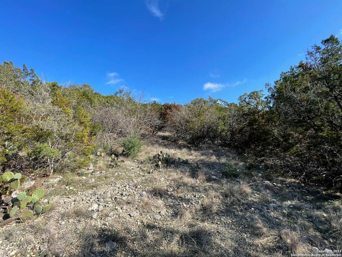 619 Winding Ravine San Antonio, TX 78258 - Photo 37 of 70