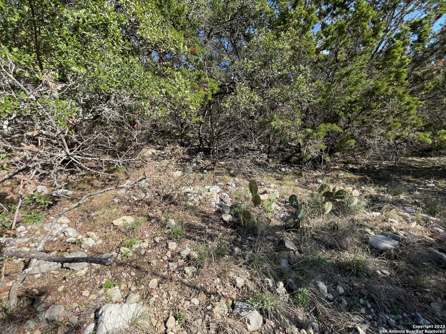 619 Winding Ravine San Antonio, TX 78258 - Photo 41 of 70