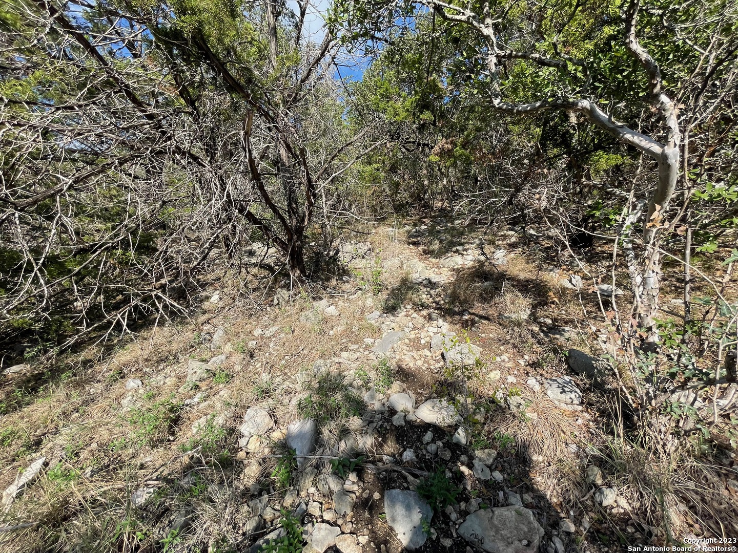 619 Winding Ravine San Antonio, TX 78258 - Photo 42 of 70