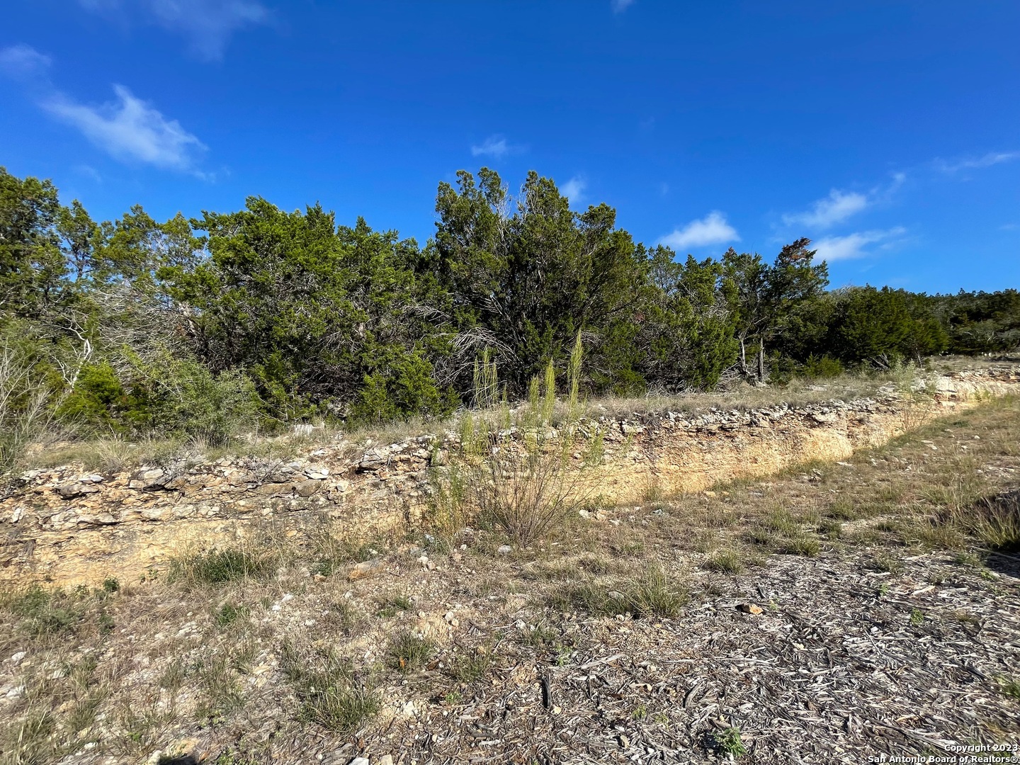 619 Winding Ravine San Antonio, TX 78258 - Photo 44 of 70