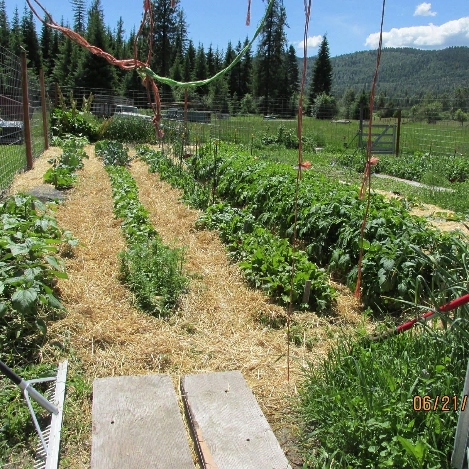 263 Fourspots Road Cusick, WA 99119 - Photo 25 of 50