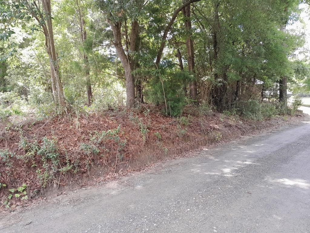 0 East Macs Landing Road, Unit TRACT C Pineville, SC 29468 - Photo 1 of 4 Main View