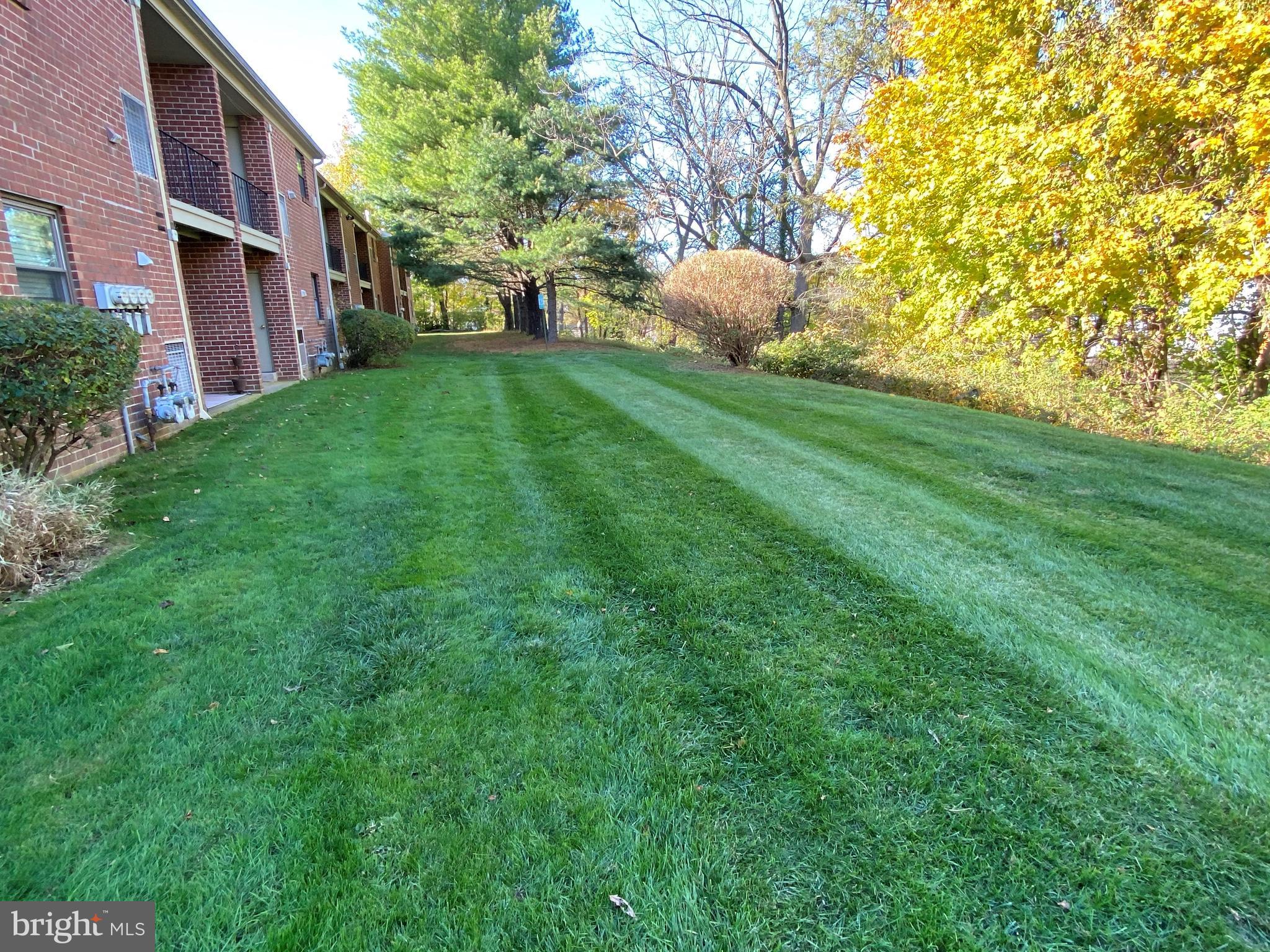 1155 York Rd., Unit G13 Warminster, PA 18974 - Photo 2 of 13 a backyard of a house with lots of green space and trees