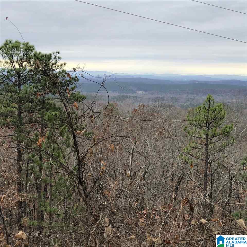 1234 High Road, Unit 1 Columbiana, AL 35051 - Photo 13 of 38