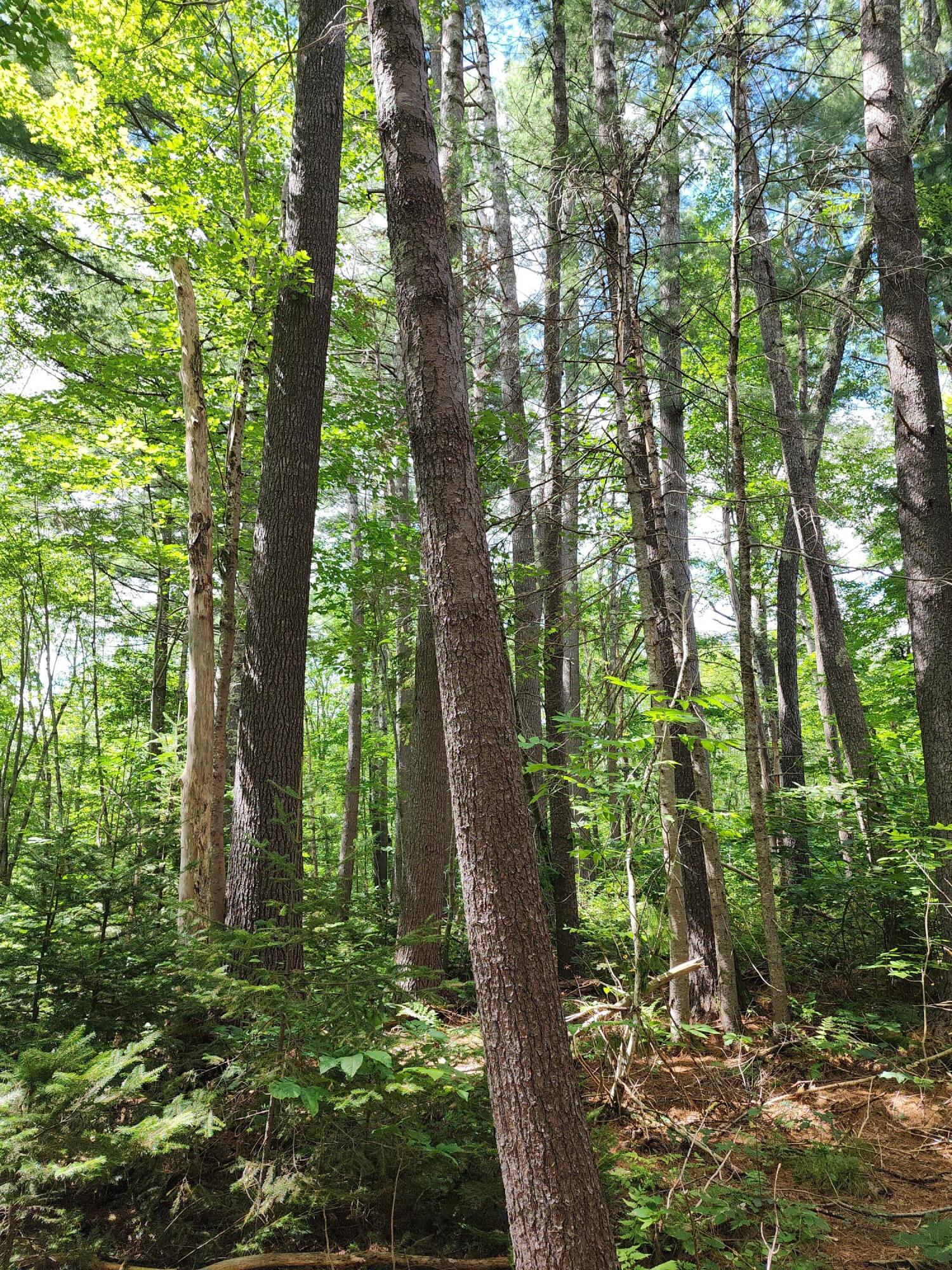 4-09c Adams Road Frankfort, ME 04438 - Photo 4 of 16 20230814_140008