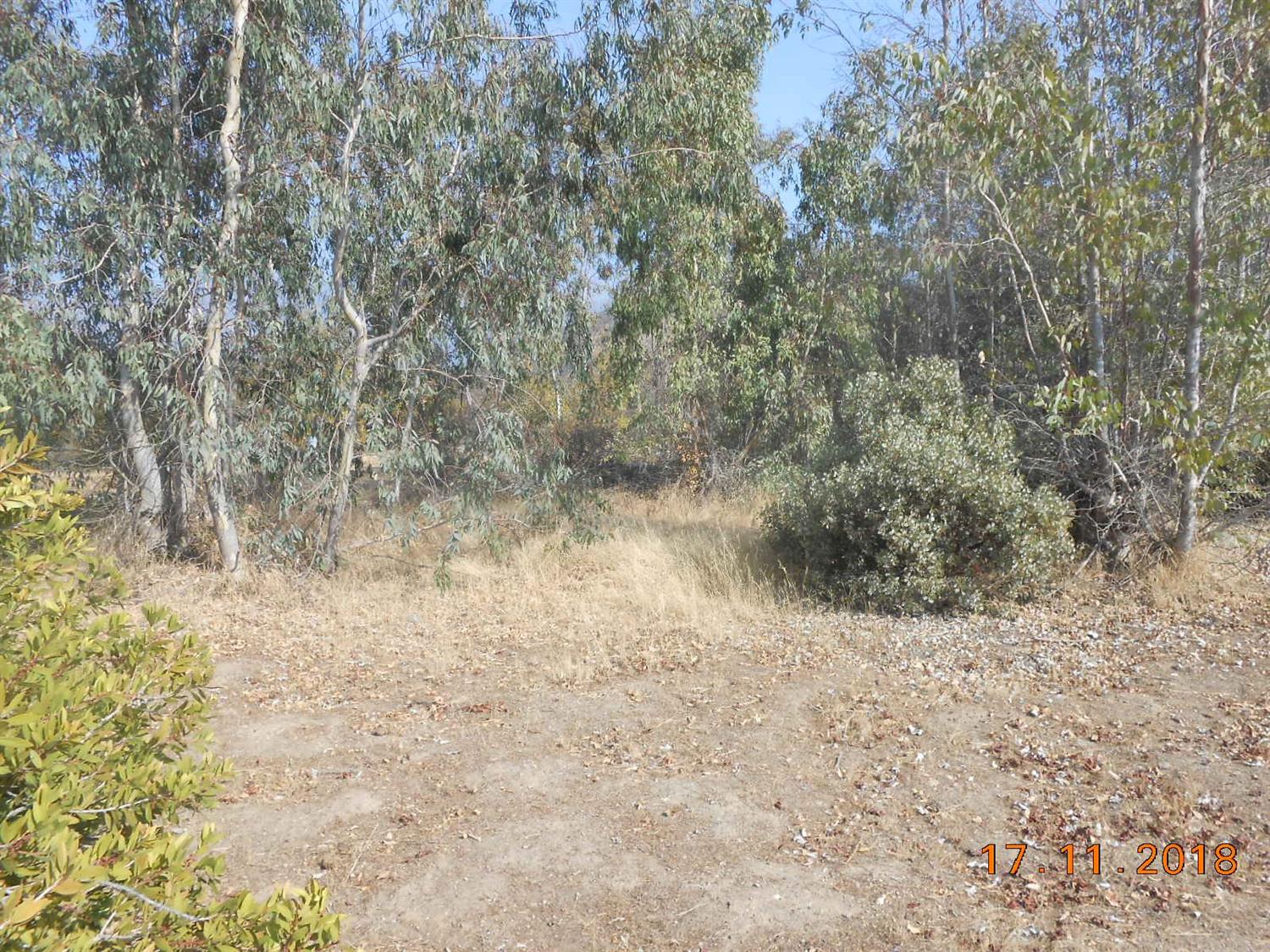 37039 Dunlap Road Squaw Valley, CA 93675 - Photo 14 of 16 Gallery Image 14