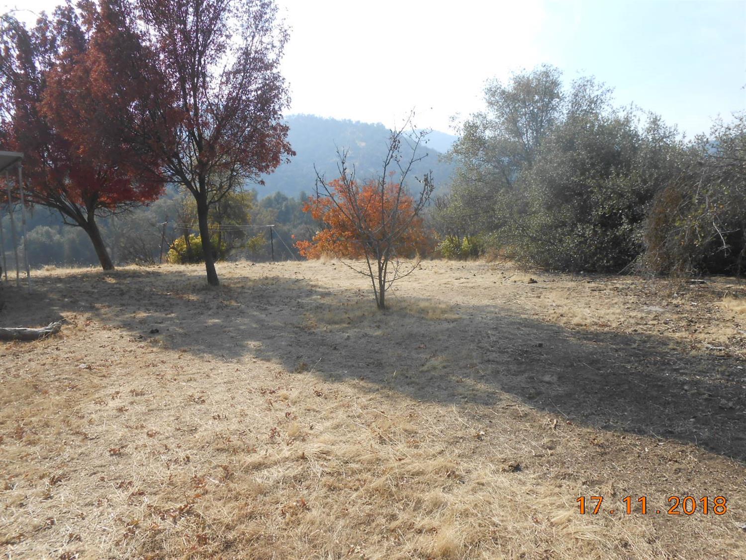 37039 Dunlap Road Squaw Valley, CA 93675 - Photo 5 of 16 Gallery Image 5