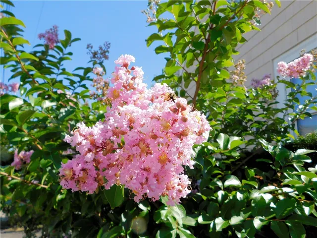 $299,000 | 176 Archambault Avenue, West Warwick, RI 02893