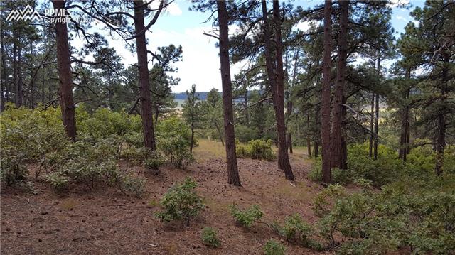 1001 Spruce Road Larkspur, CO 80118 - Photo 5 of 9 Gallery Image 5