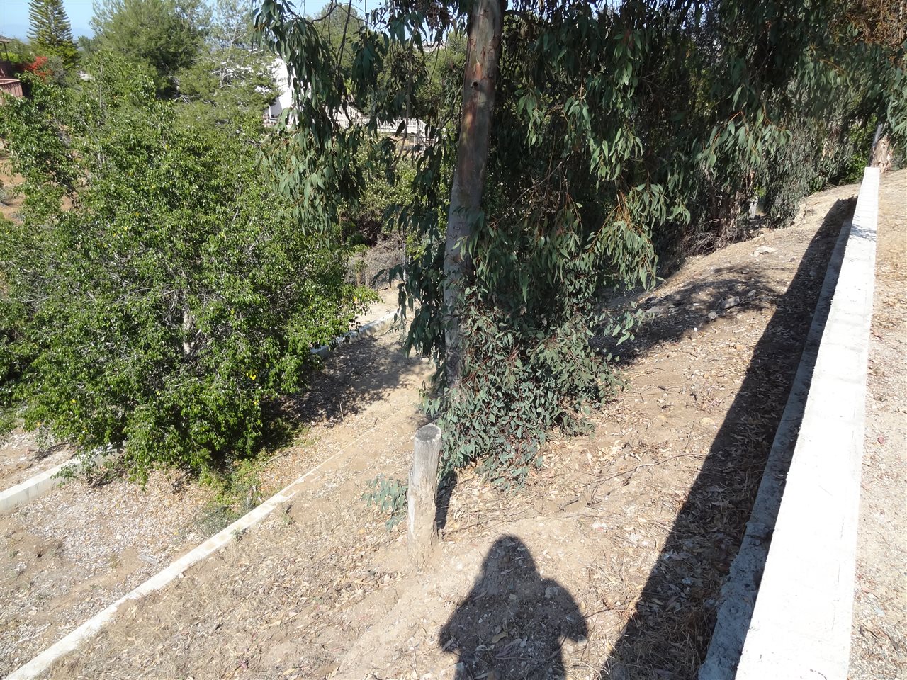 9978 Eubank Lane Spring Valley, CA 91977 - Photo 19 of 19