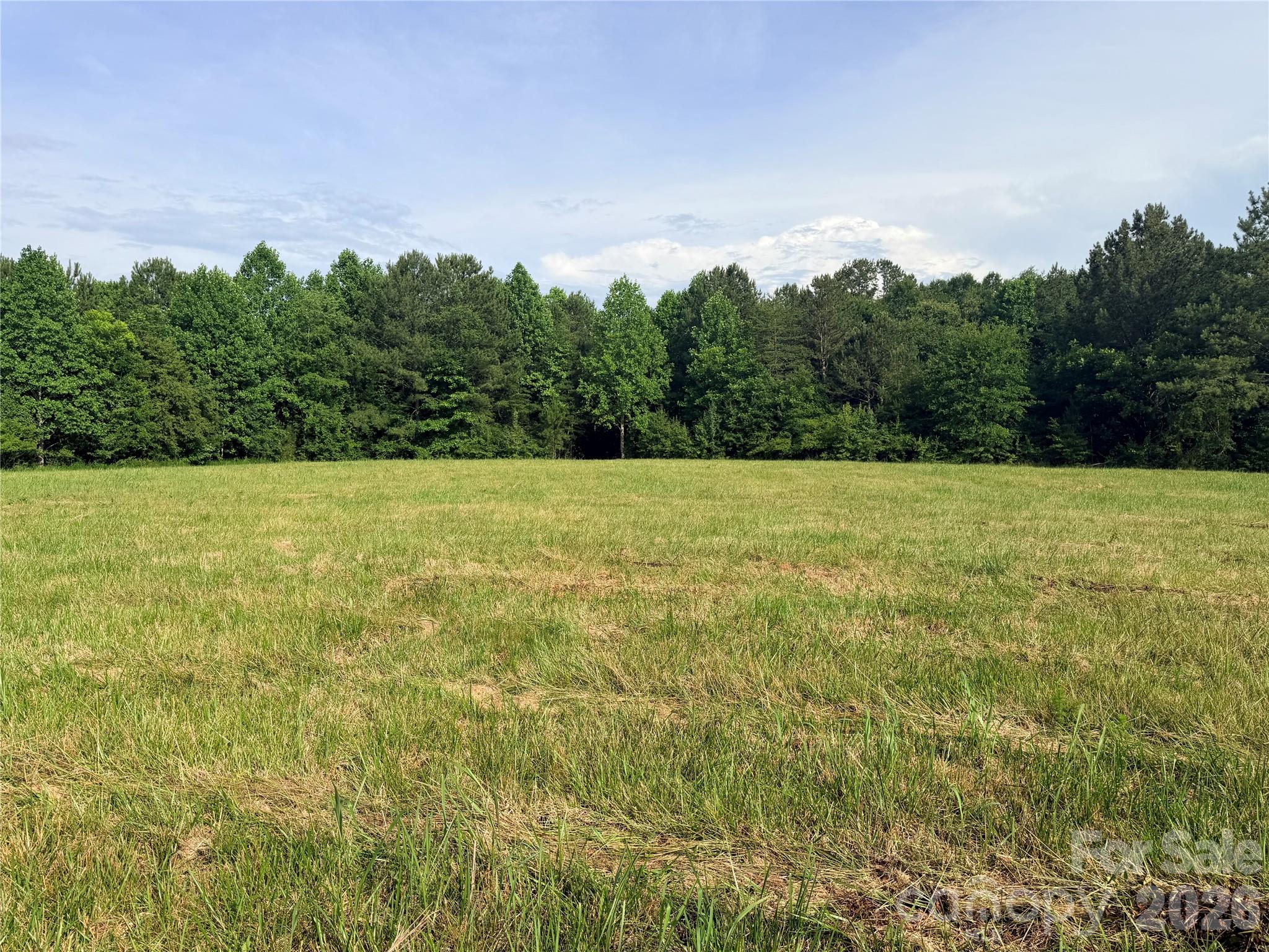 Lot 1 Schenck Farm Road Lawndale, NC 28090 - Photo 8 of 11