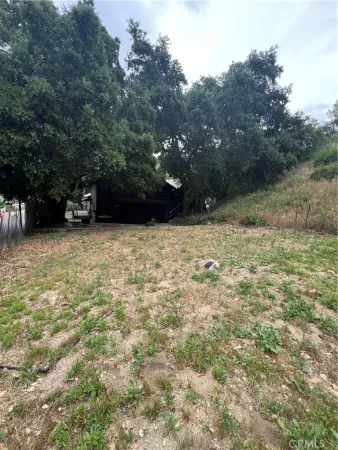 a view of backyard with green space