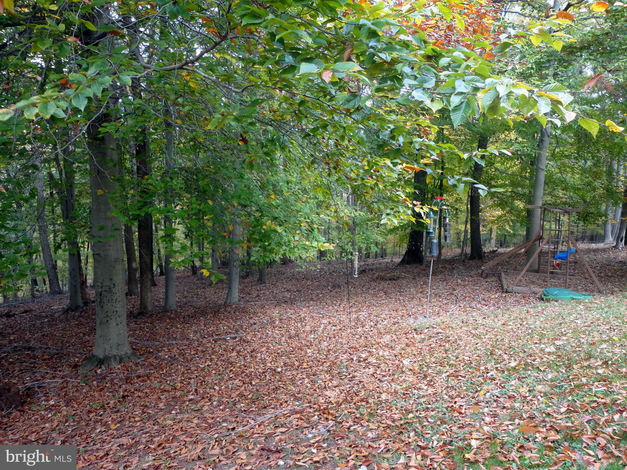 6418 Spring Forest Road Frederick, MD 21701 - Photo 29 of 30 Private wooded back yard