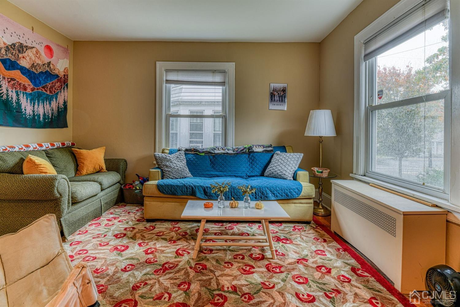 36 Baldwin Street New Brunswick, NJ 08901 - Photo 10 of 22 a living room with furniture and a rug