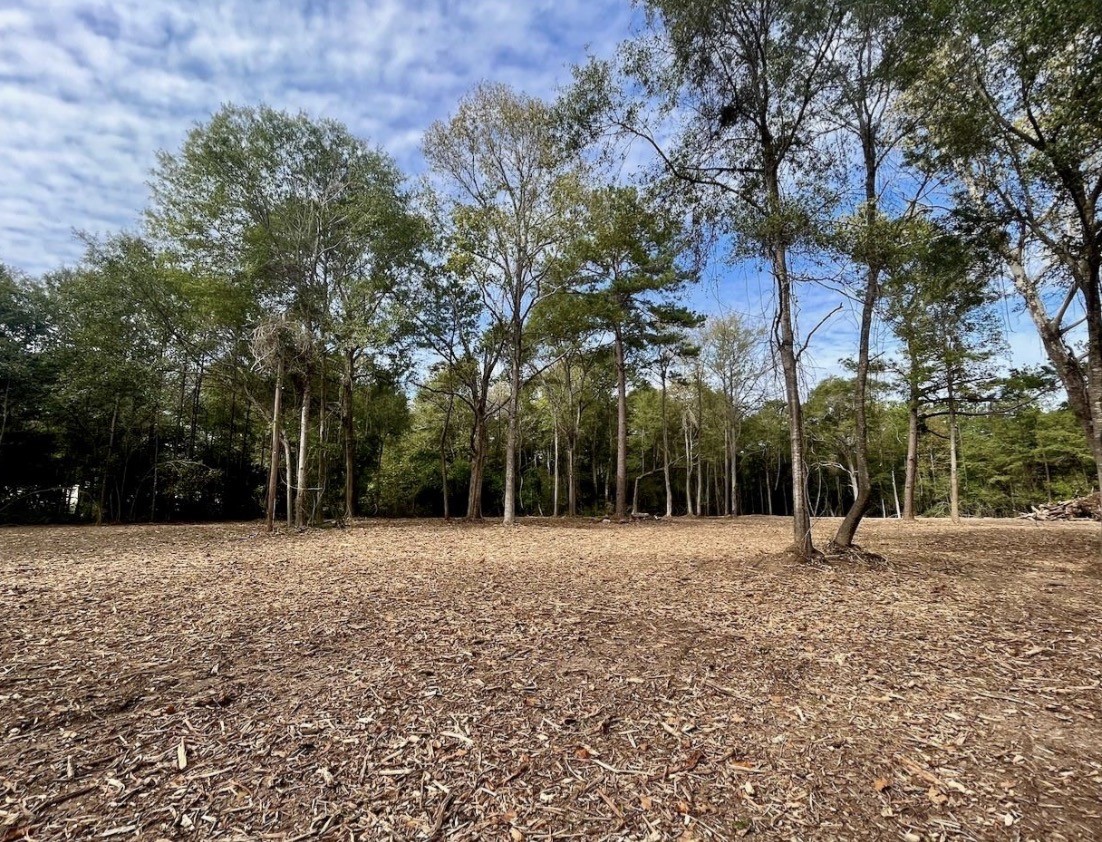 10690 Waukegan Road Conroe, TX 77306 - Photo 4 of 7 a view of outdoor space with trees