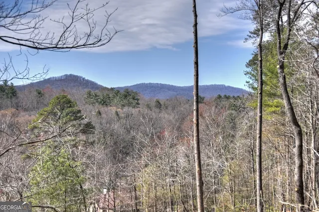 a view of a tree in a yard