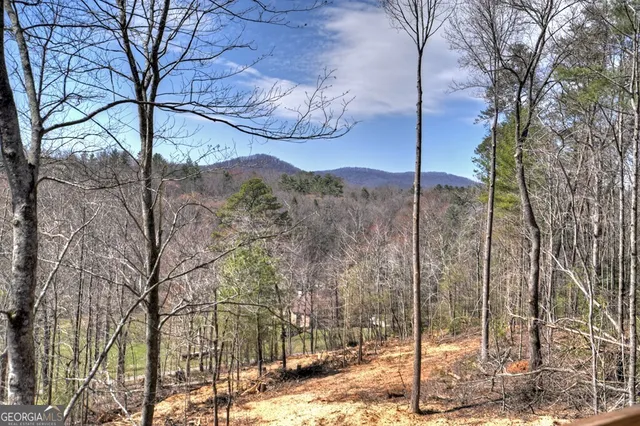 a view of a road with a tree in the background