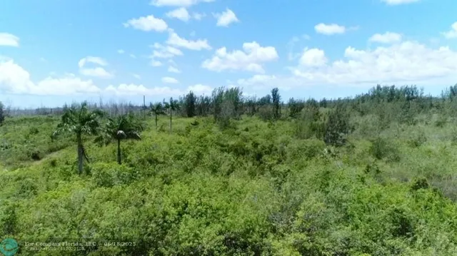 a view of a green field with lots of bushes