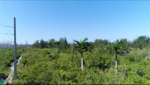 a view of a green field with a tree in the background