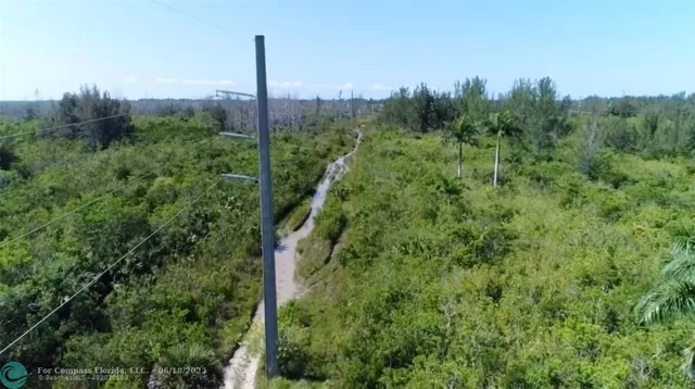 a palm tree sitting in a yard