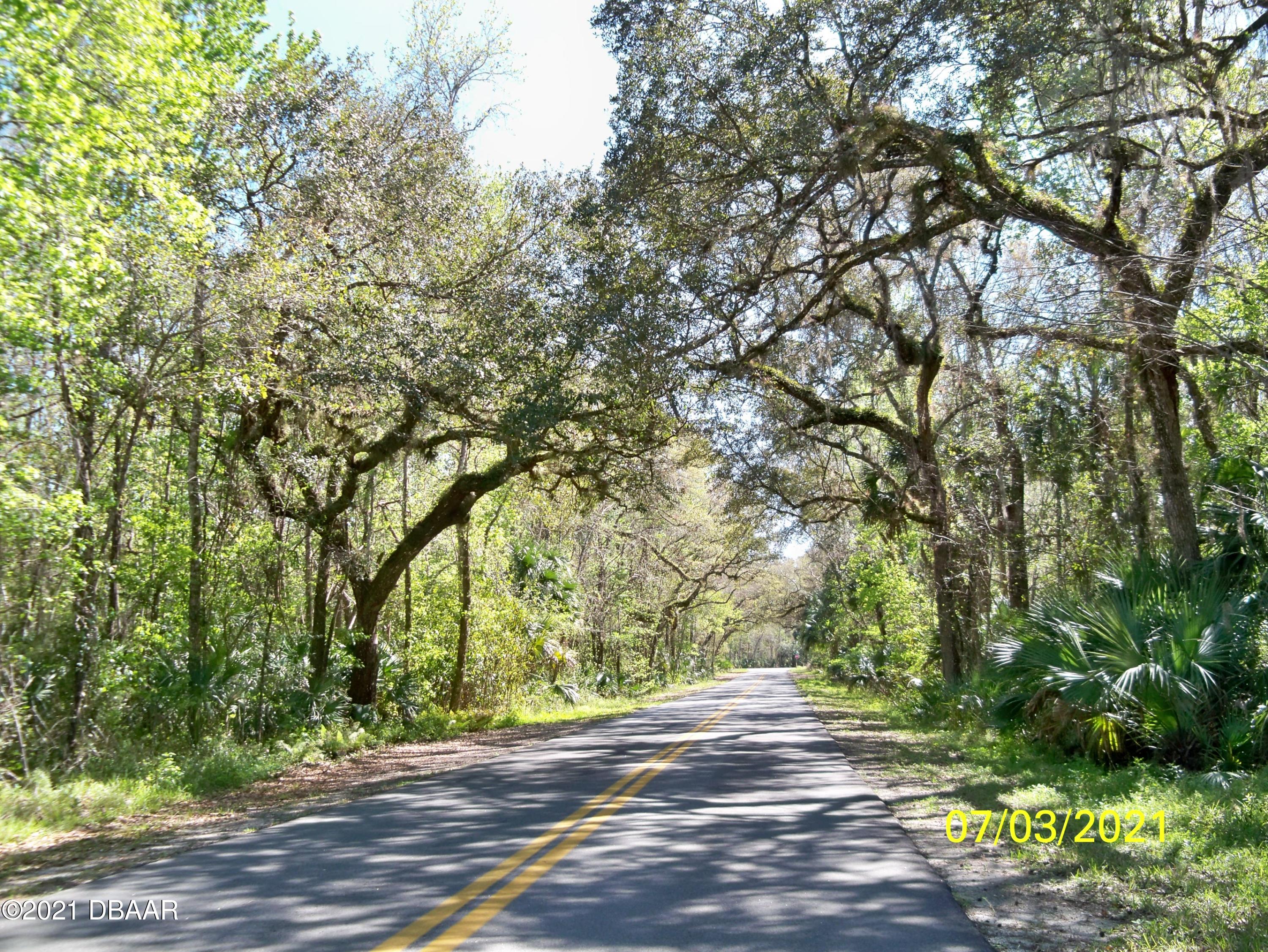 1331 Buckles Road Pierson, FL 32180 - Photo 1 of 21 100_1343