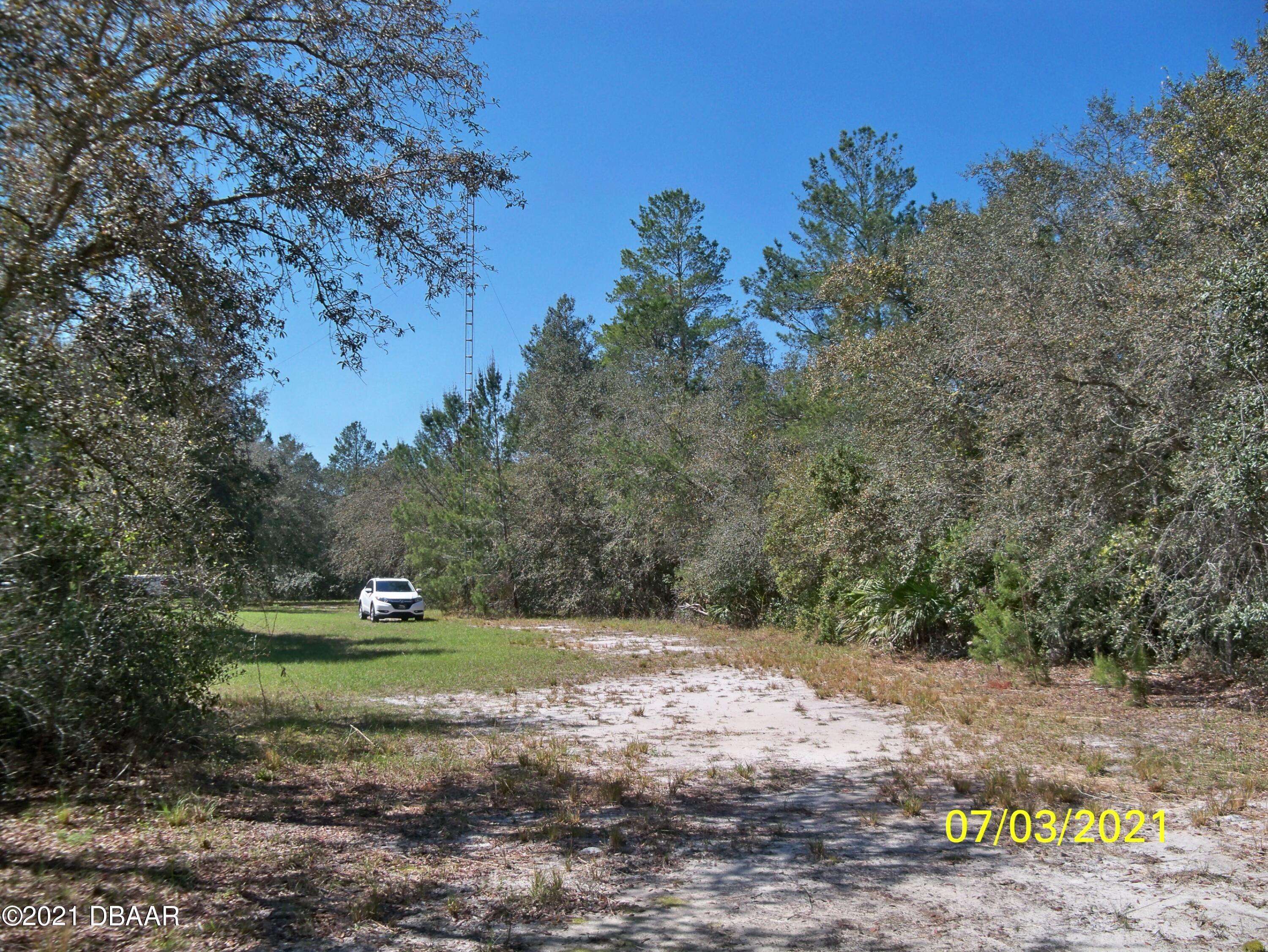 1331 Buckles Road Pierson, FL 32180 - Photo 17 of 21 100_1314