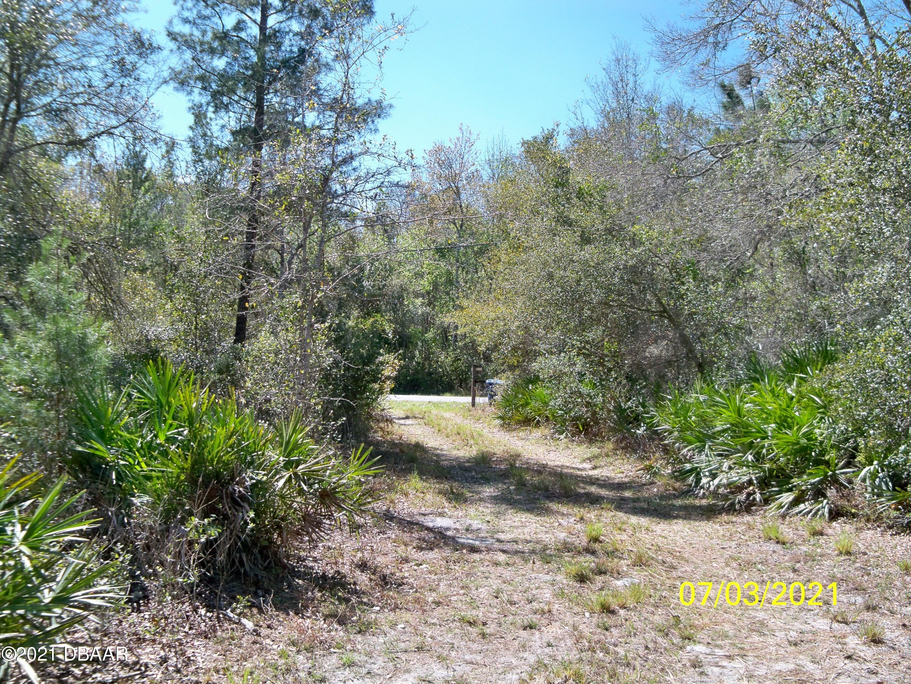 1331 Buckles Road Pierson, FL 32180 - Photo 3 of 21 100_1332