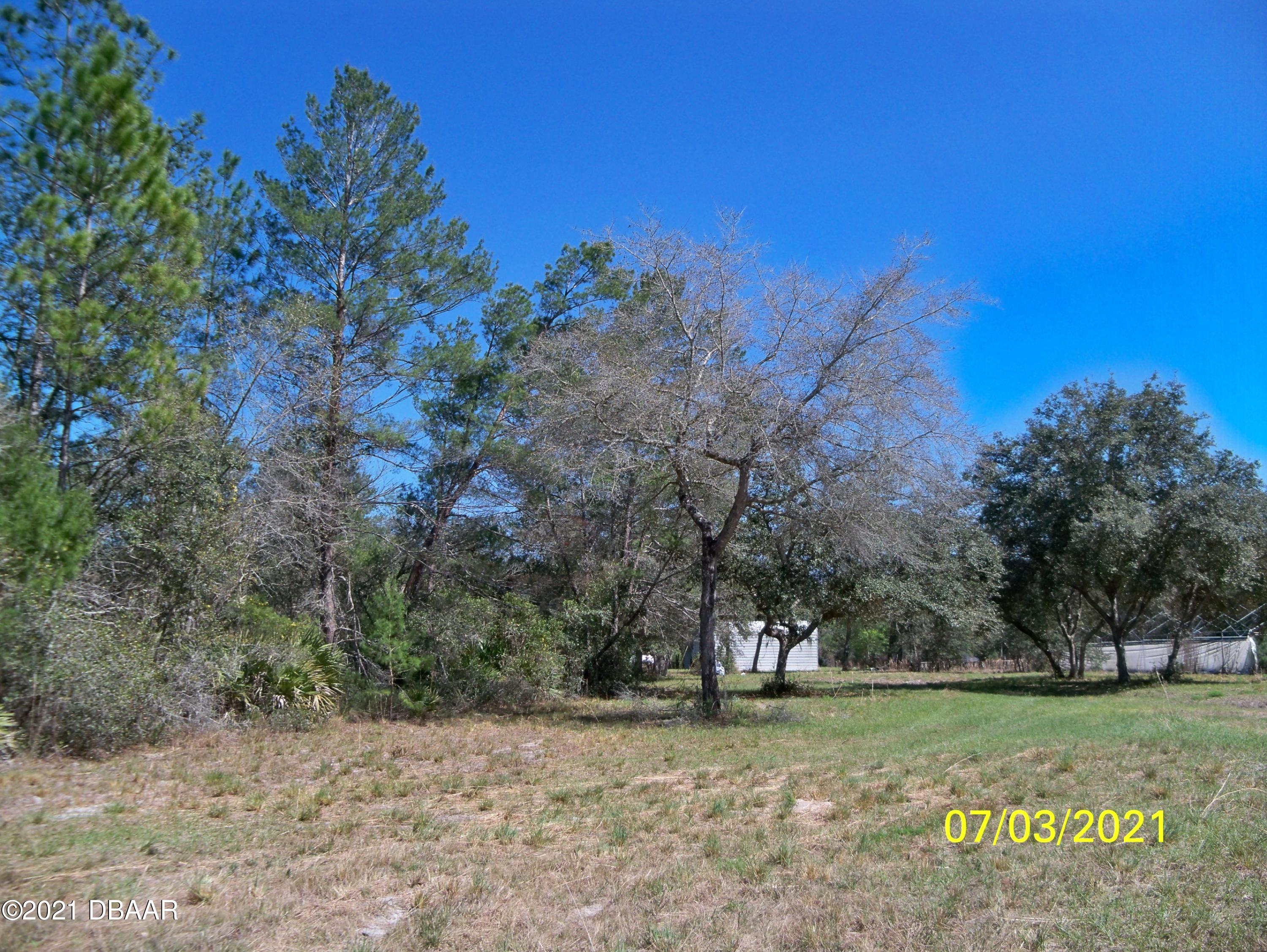 1331 Buckles Road Pierson, FL 32180 - Photo 5 of 21 100_1331
