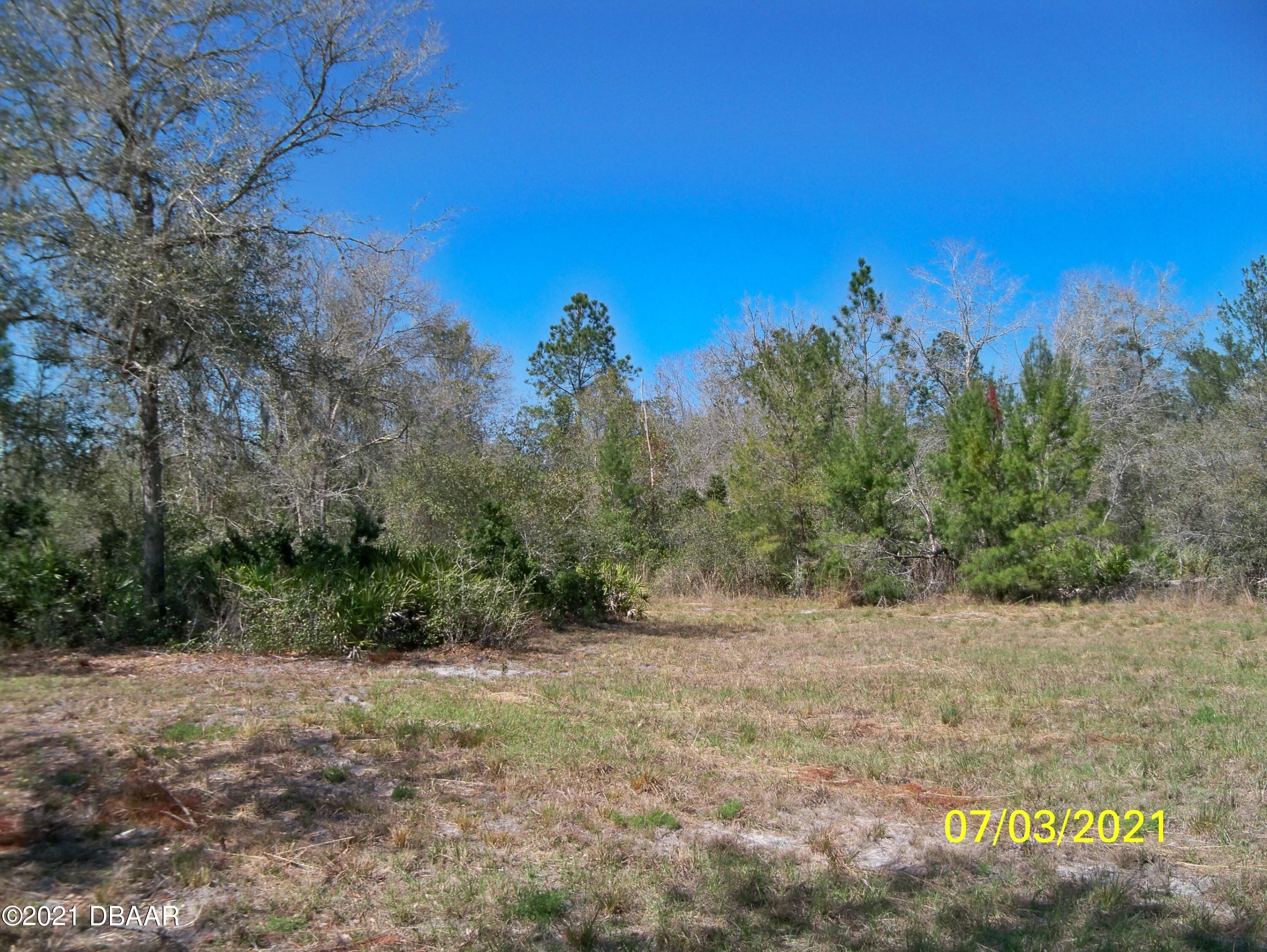 1331 Buckles Road Pierson, FL 32180 - Photo 6 of 21 100_1328