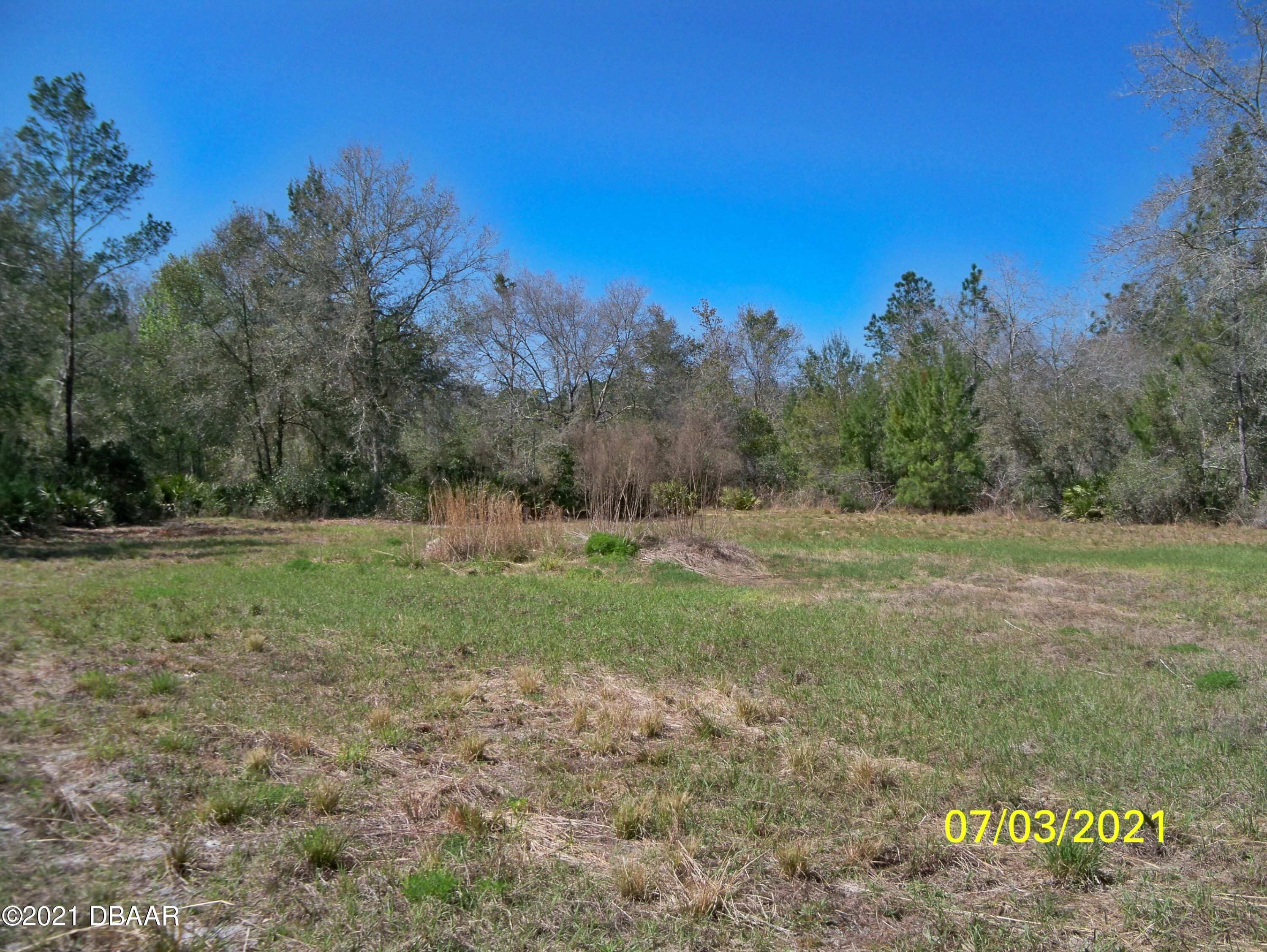 1331 Buckles Road Pierson, FL 32180 - Photo 8 of 21 100_1327