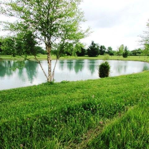 10623 Borror Road Orient, OH 43146 - Photo 4 of 57 Gallery Image 4