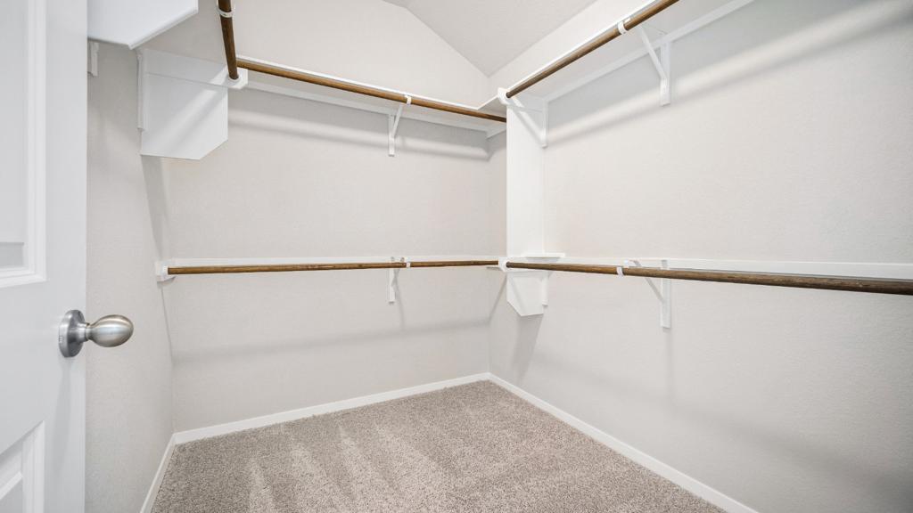 208 Stein Road Georgetown, TX 78626 - Photo 26 of 30 Walk in closet featuring carpet