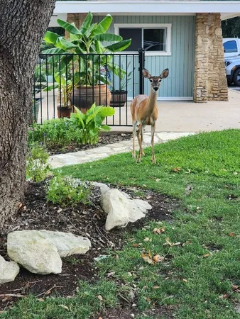 $140,000 | 2 Cliffhouse Drive, Unit 210, Belton, TX 76513