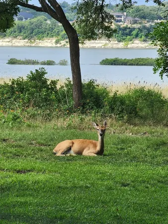 $140,000 | 2 Cliffhouse Drive, Unit 210, Belton, TX 76513