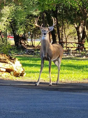 $140,000 | 2 Cliffhouse Drive, Unit 210, Belton, TX 76513