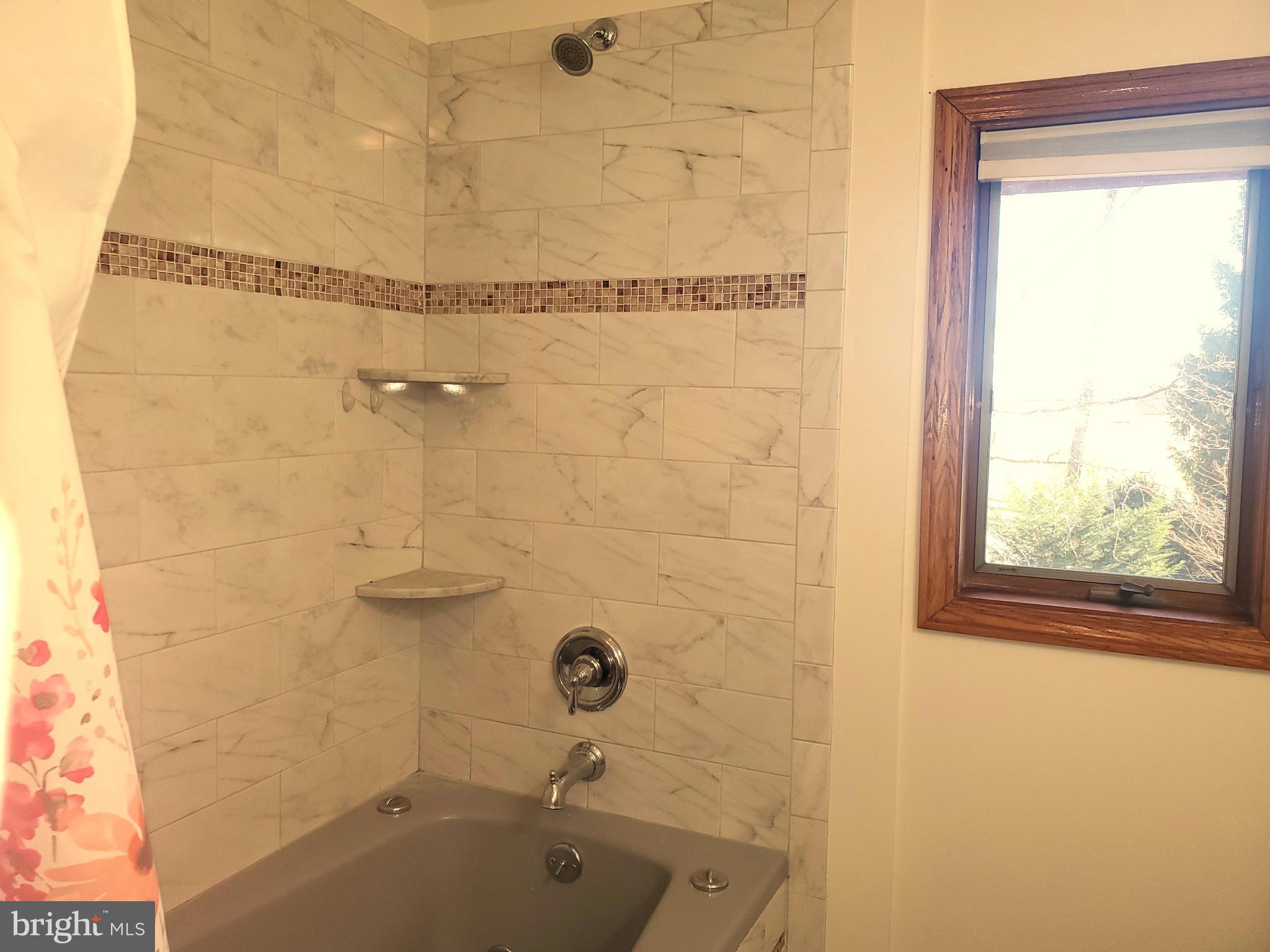 309 Elk Forest Road Elkton, MD 21921 - Photo 28 of 40 Tile Tub Surround