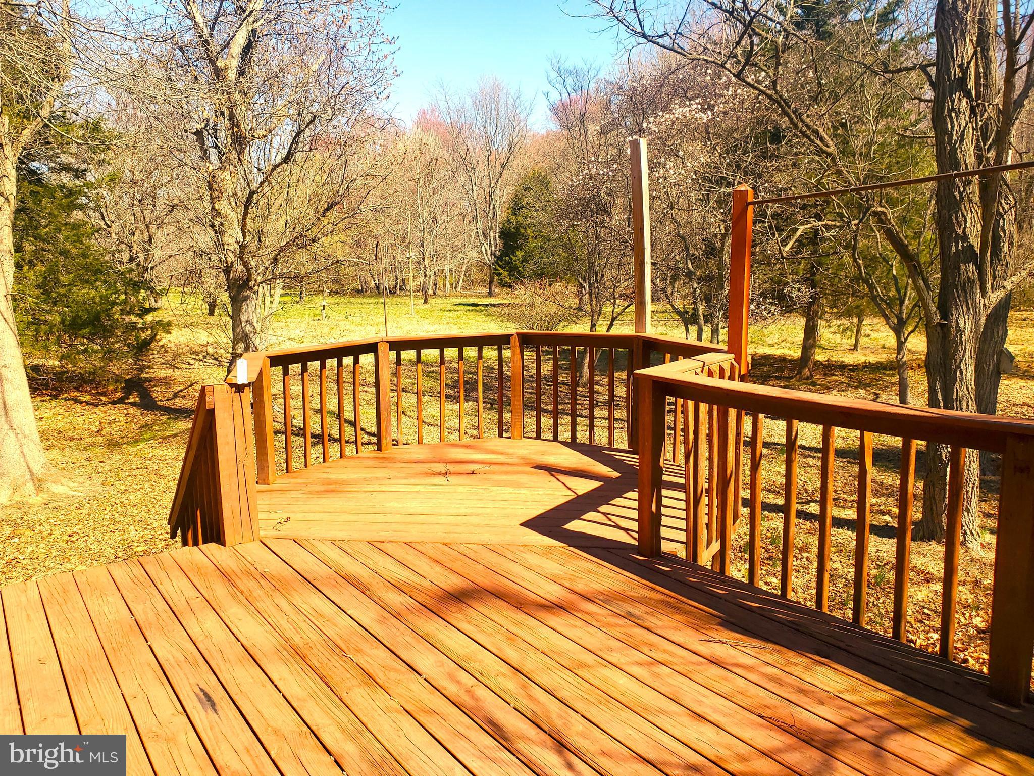 309 Elk Forest Road Elkton, MD 21921 - Photo 38 of 40 Huge custom deck