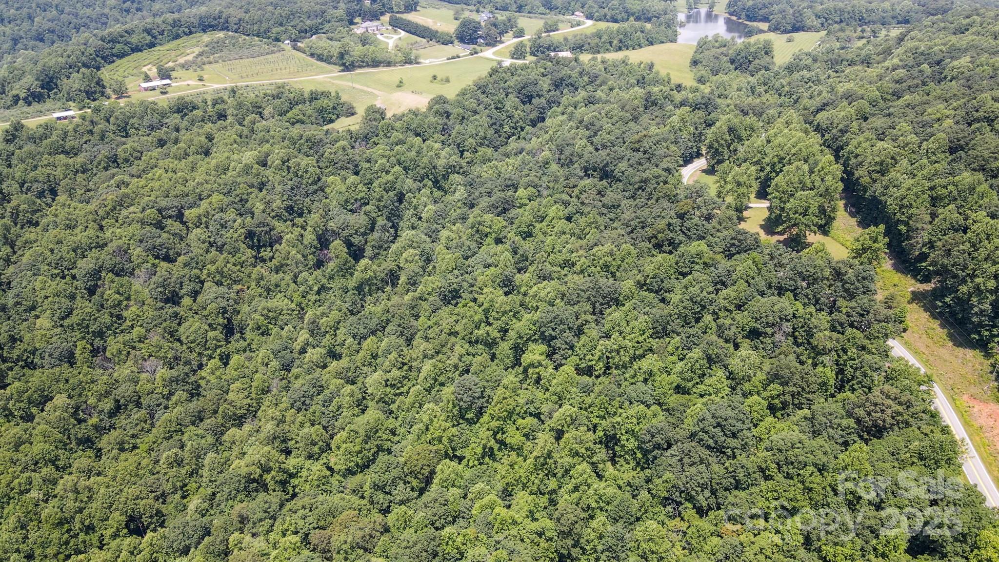 0 Hendren Road Moravian Falls, NC 28654 - Photo 11 of 16