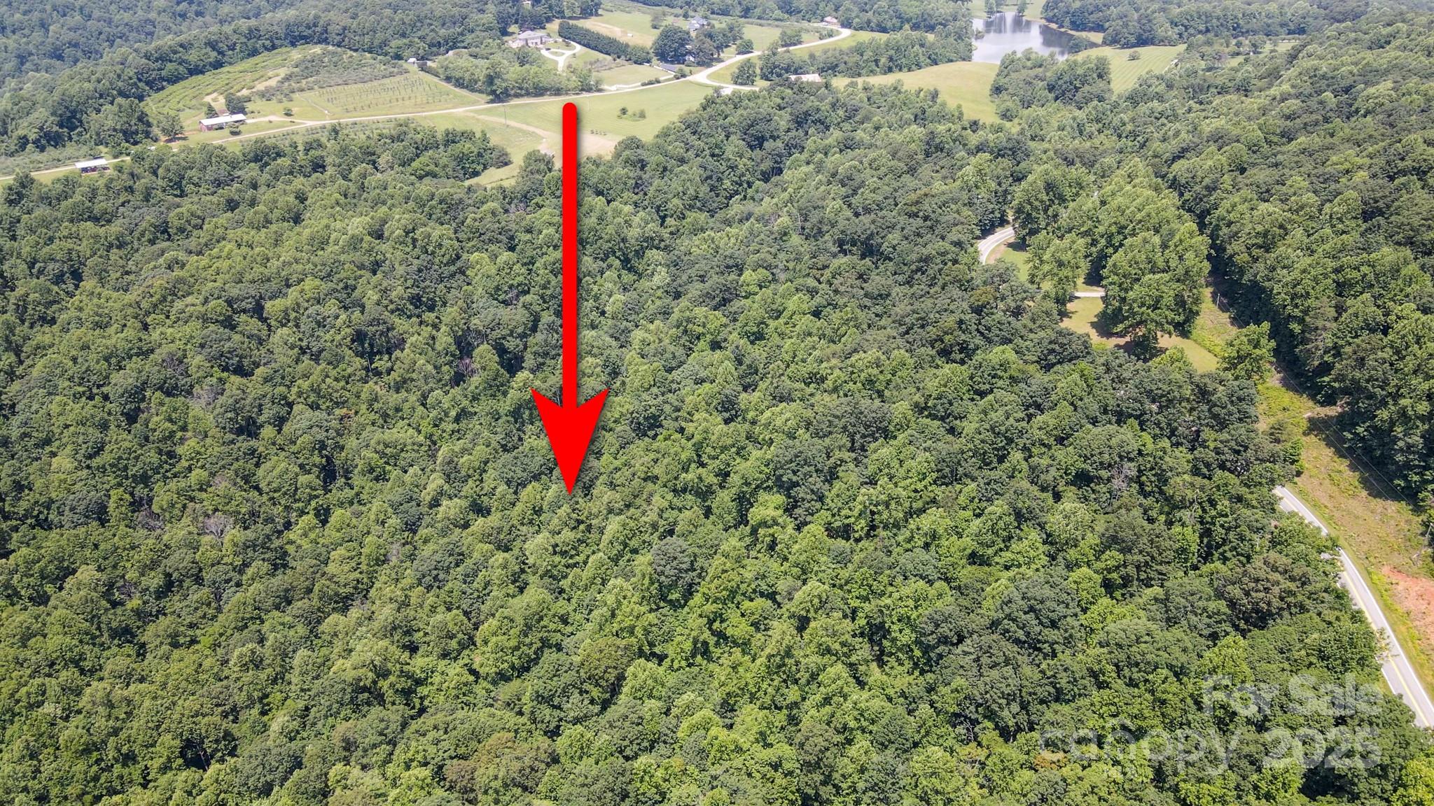 0 Hendren Road Moravian Falls, NC 28654 - Photo 12 of 16