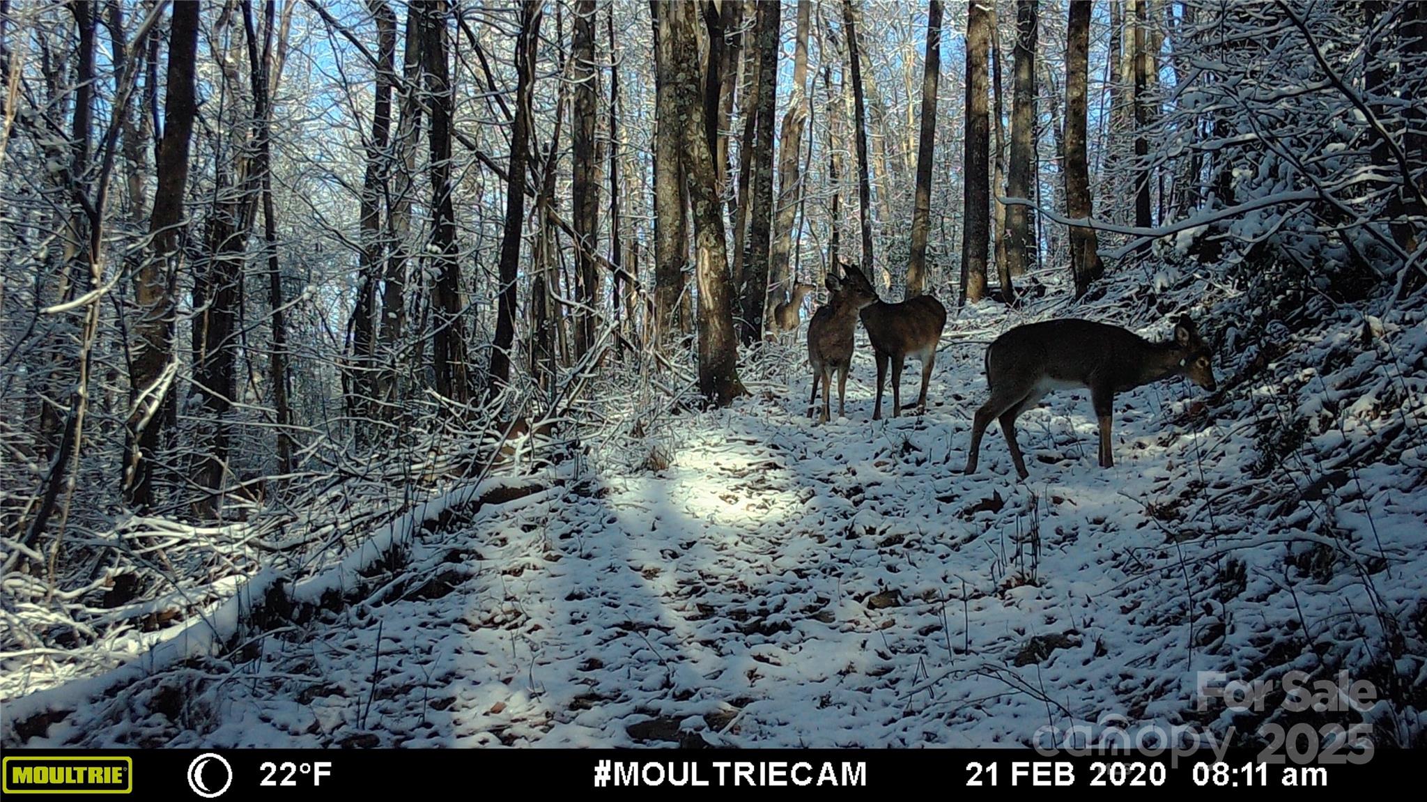 0 Hendren Road Moravian Falls, NC 28654 - Photo 14 of 16