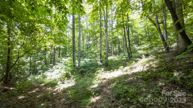 $230,000 | 0 Hendren Road, Moravian Falls, NC 28654