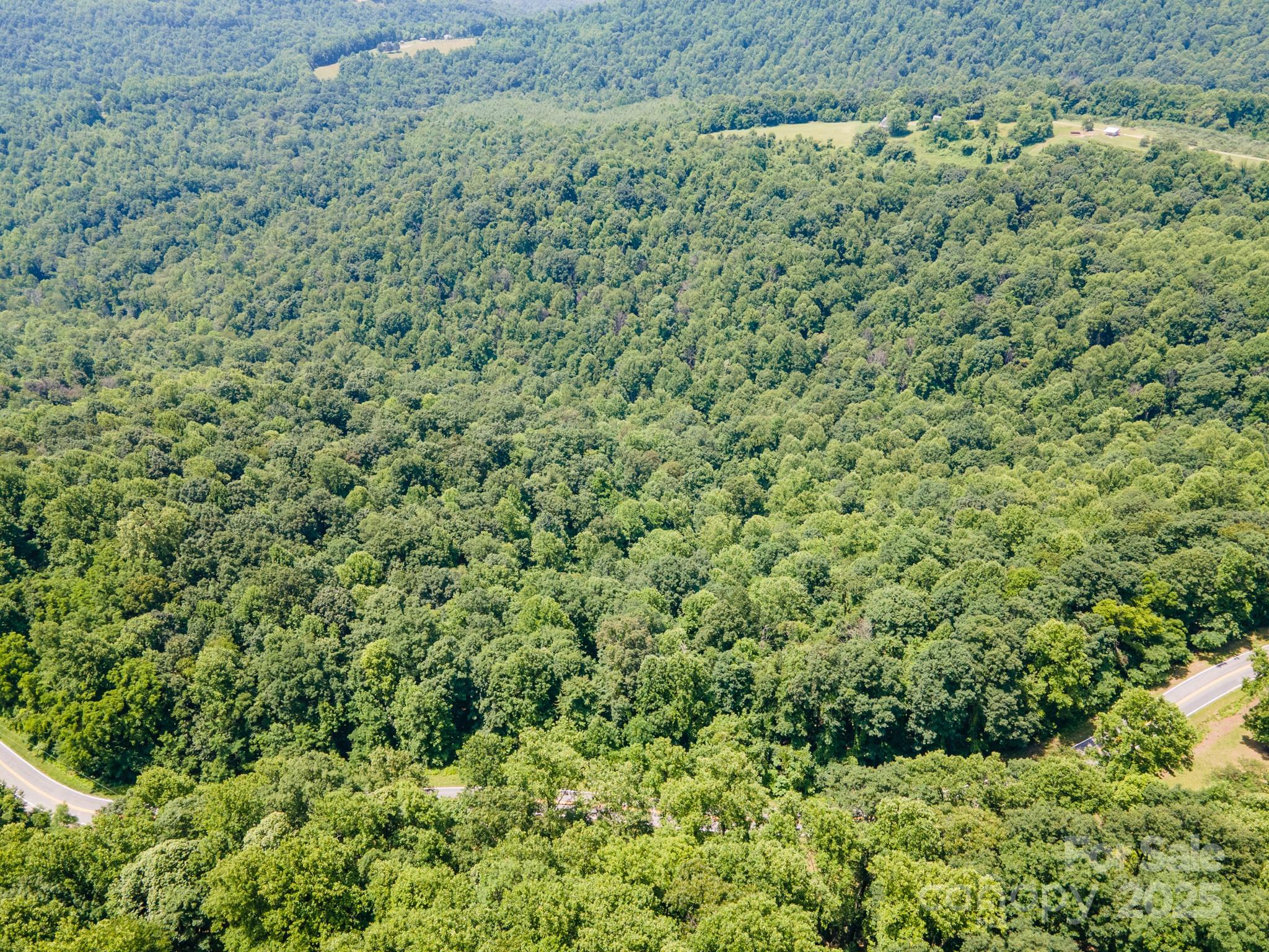 0 Hendren Road Moravian Falls, NC 28654 - Photo 7 of 16