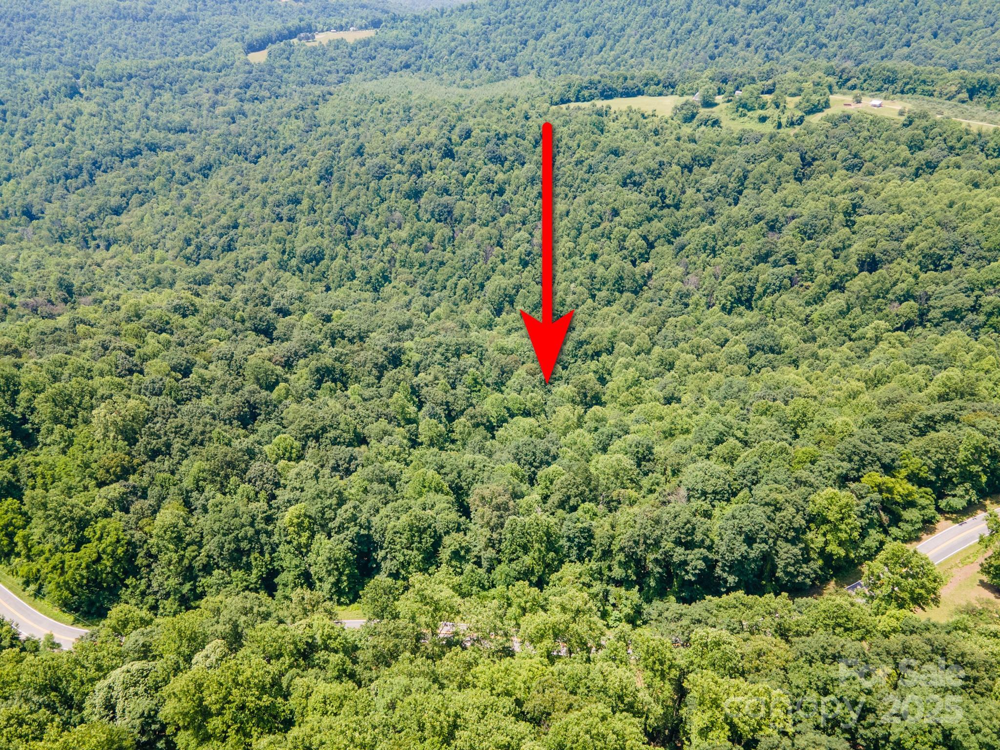 0 Hendren Road Moravian Falls, NC 28654 - Photo 8 of 16