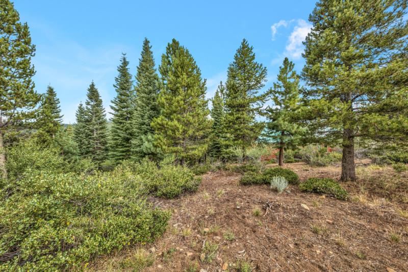 12645 Parsenn Road Truckee, CA 96161 - Photo 12 of 17 Gallery Image 12