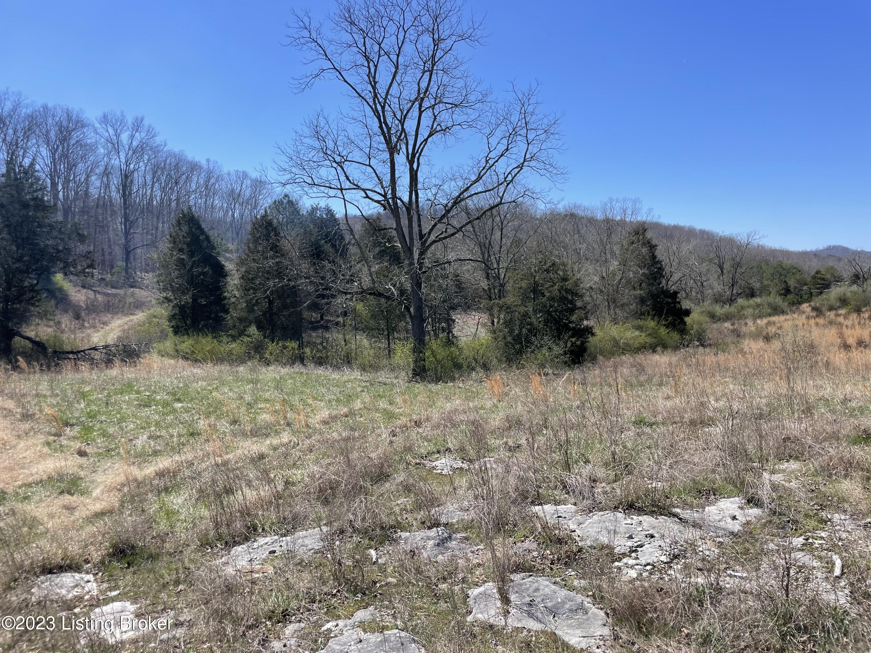 945 Hail Meece Road Somerset, KY 42501 - Photo 31 of 37 IMG-4161