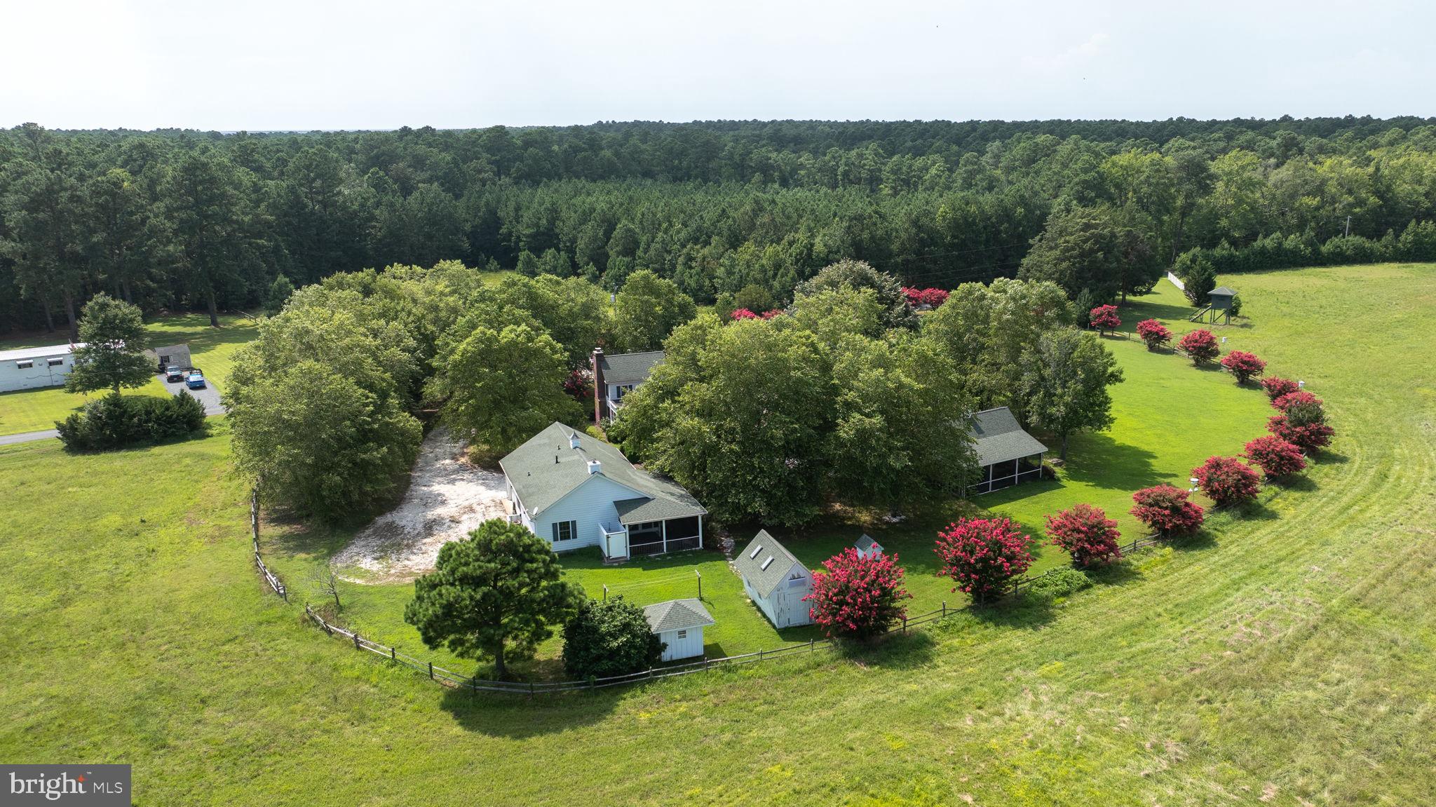25367 Messongo Road Temperanceville, VA 23442 - Photo 95 of 107