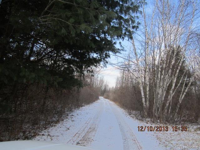 4352 Newark Road Attica, MI 48412 - Photo 14 of 14 4352_Newark_land_(2).jpg
