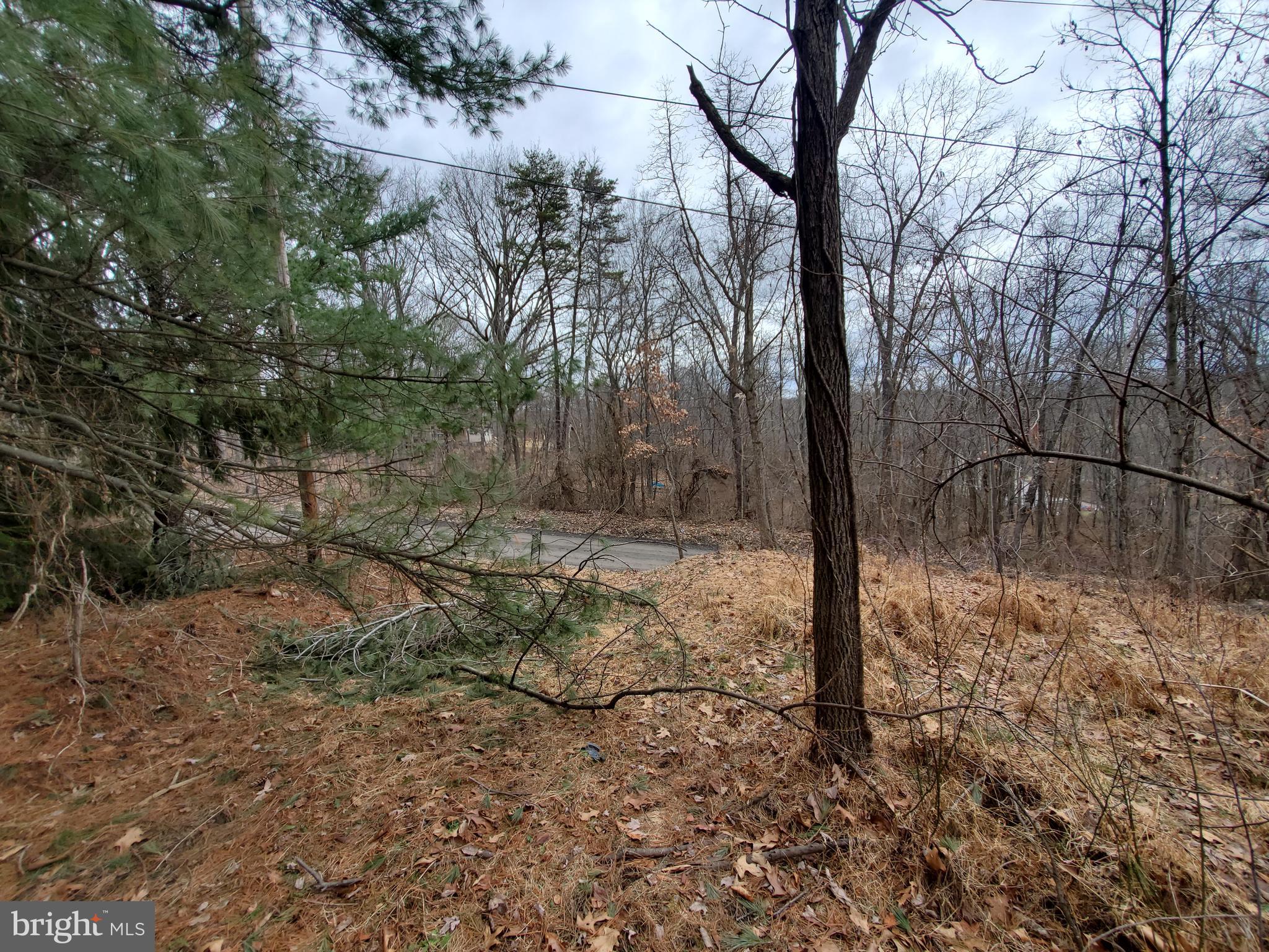 Mountain Road Augusta, WV 26704 - Photo 5 of 11 Property in January