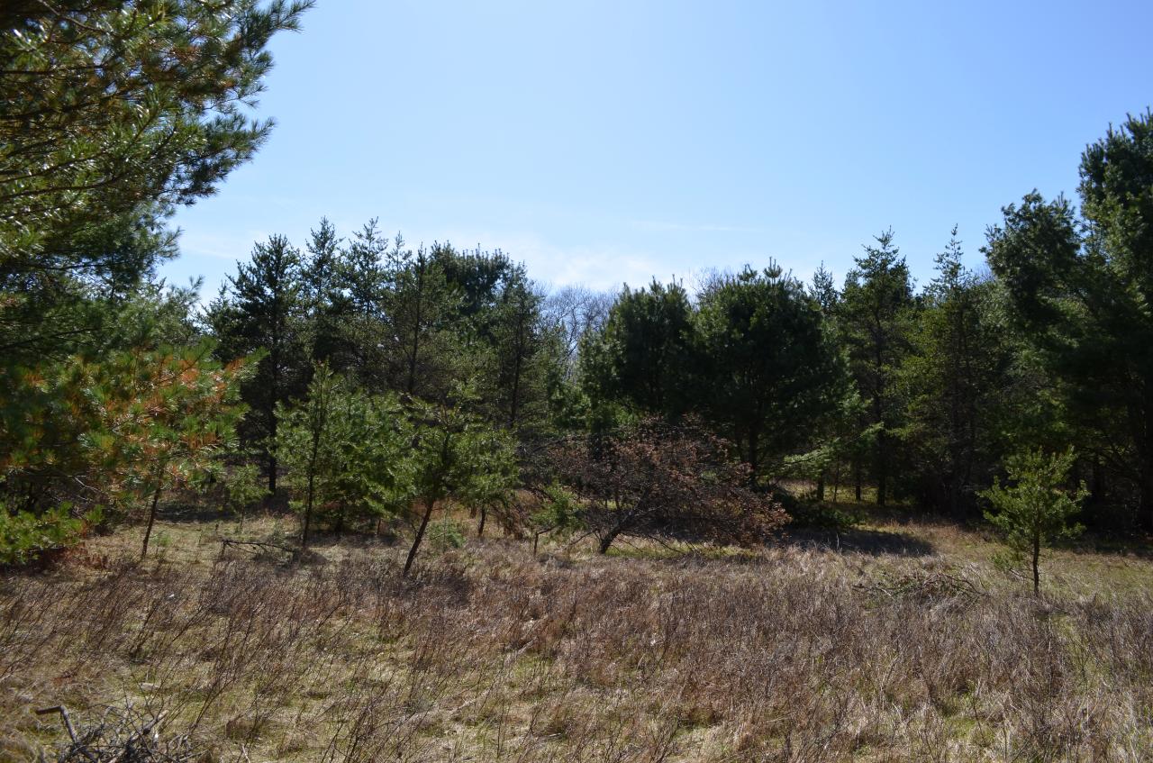 Lot 6 Point O Pines Road Tomahawk, WI 54487 - Photo 25 of 25 Gallery Image 25