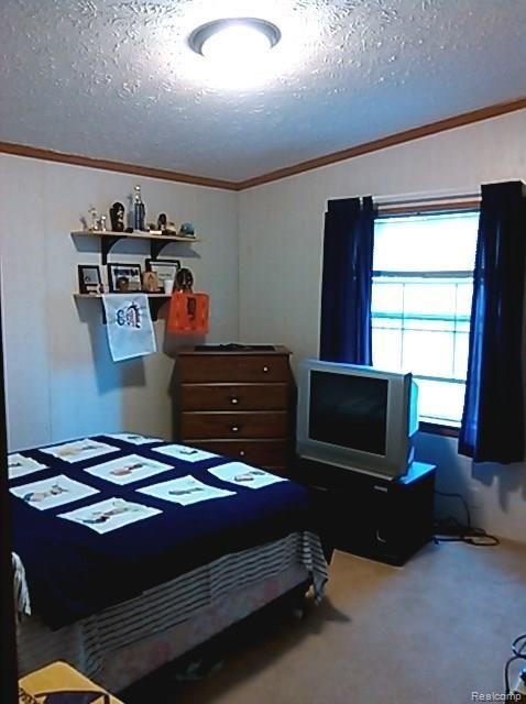 5710 Hunt Road Adrian, MI 49221 - Photo 18 of 36 PANO_20160416_192846_102.jpg